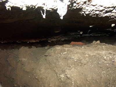 Concrete Floor Repair, Concrete Chiropractor Warehouse Floor Repairs