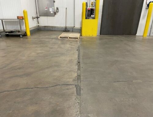 Joint Before